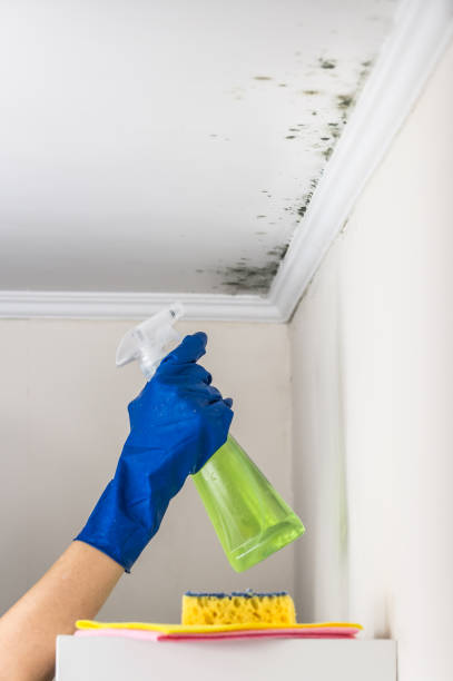 Prospect, PA Mold Remediation Company